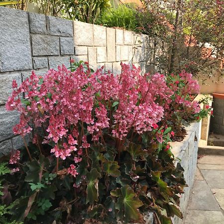 Robin Woods Homestay Sakleshpur Dış mekan fotoğraf