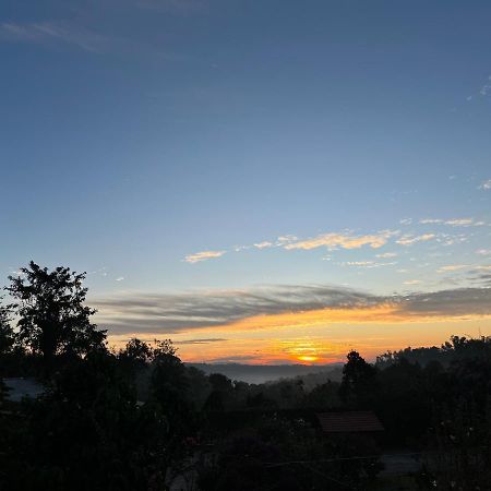 Robin Woods Homestay Sakleshpur Dış mekan fotoğraf