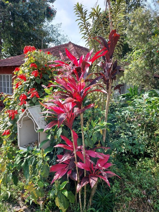 Robin Woods Homestay Sakleshpur Dış mekan fotoğraf