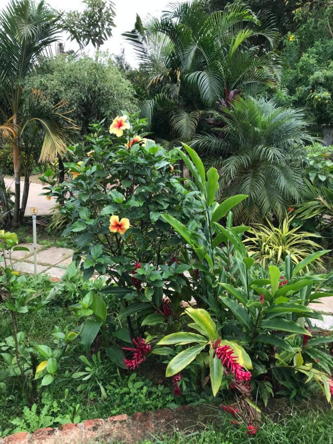 Robin Woods Homestay Sakleshpur Dış mekan fotoğraf